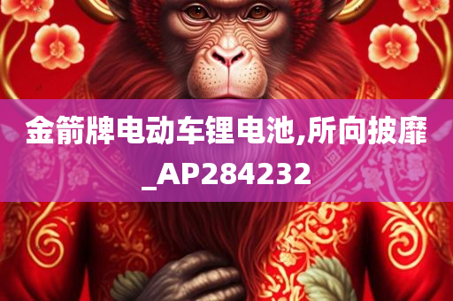 金箭牌电动车锂电池,所向披靡_AP284232