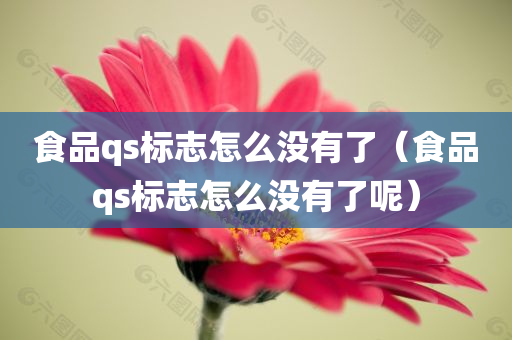 食品qs标志怎么没有了（食品qs标志怎么没有了呢）