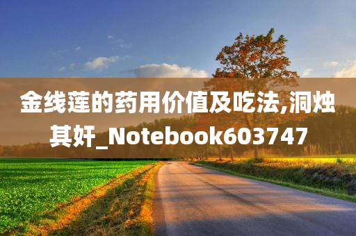 金线莲的药用价值及吃法,洞烛其奸_Notebook603747