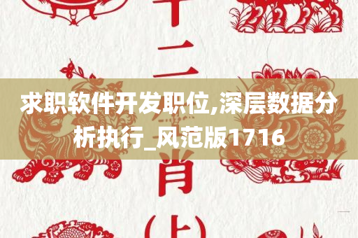 求职软件开发职位,深层数据分析执行_风范版1716