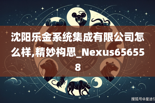 沈阳乐金系统集成有限公司怎么样,精妙构思_Nexus656558