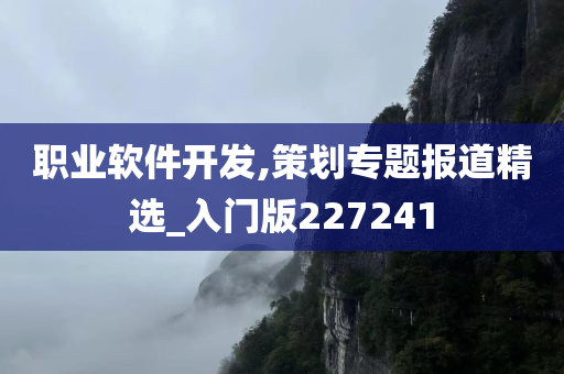 职业软件开发,策划专题报道精选_入门版227241