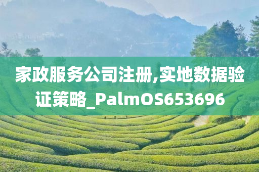 家政服务公司注册,实地数据验证策略_PalmOS653696