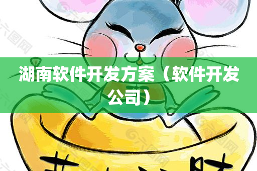 湖南软件开发方案（软件开发公司）