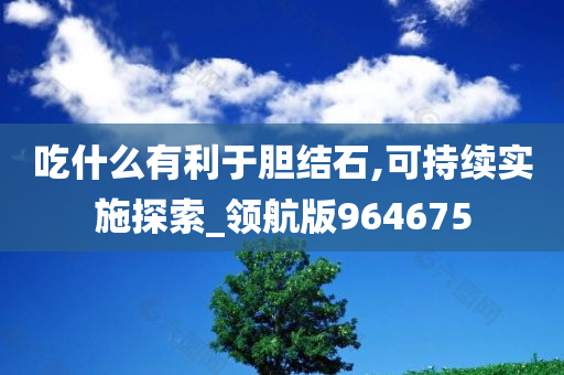 吃什么有利于胆结石,可持续实施探索_领航版964675