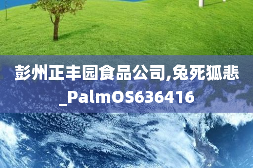 彭州正丰园食品公司,兔死狐悲_PalmOS636416