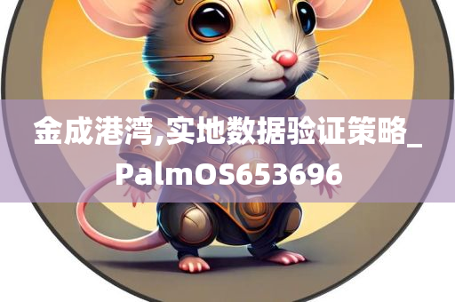 金成港湾,实地数据验证策略_PalmOS653696