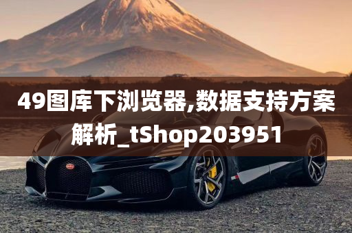 49图库下浏览器,数据支持方案解析_tShop203951