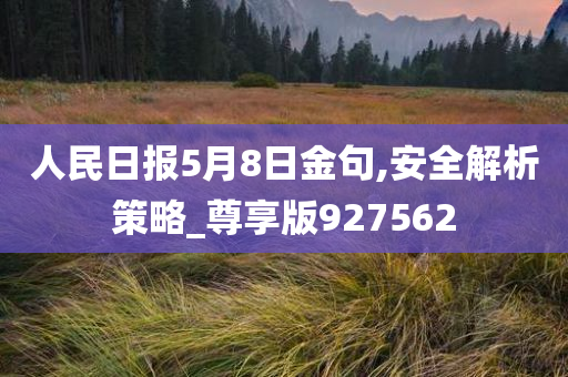 人民日报5月8日金句,安全解析策略_尊享版927562