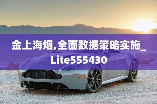 金上海烟,全面数据策略实施_Lite555430