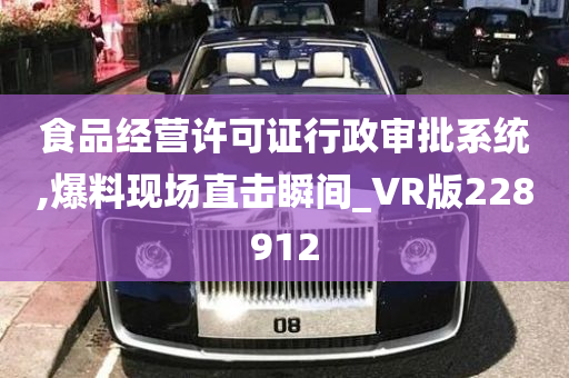 食品经营许可证行政审批系统,爆料现场直击瞬间_VR版228912