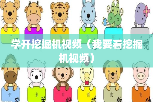 学开挖掘机视频（我要看挖掘机视频）