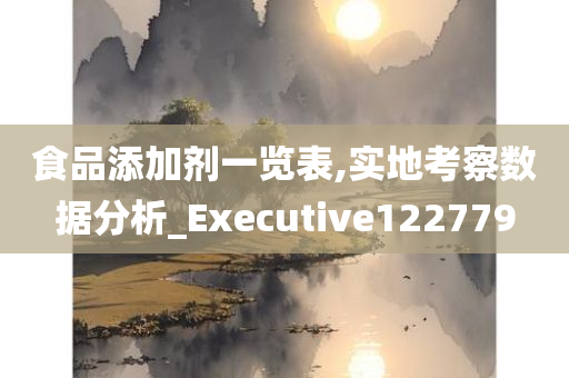 食品添加剂一览表,实地考察数据分析_Executive122779