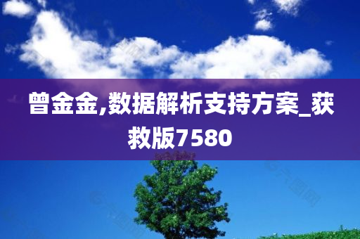 曾金金,数据解析支持方案_获救版7580