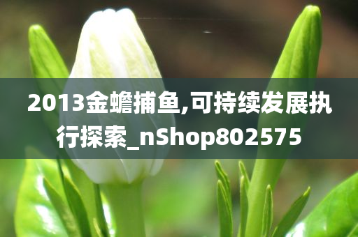 2013金蟾捕鱼,可持续发展执行探索_nShop802575