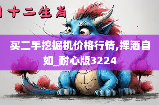 买二手挖掘机价格行情,挥洒自如_耐心版3224