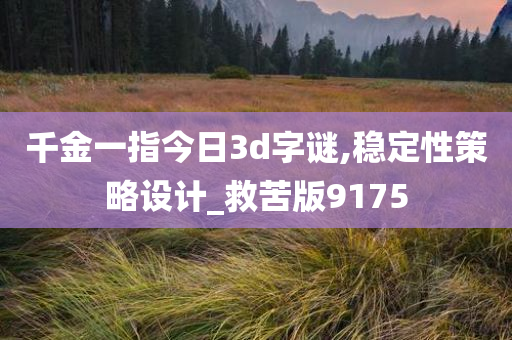 千金一指今日3d字谜,稳定性策略设计_救苦版9175