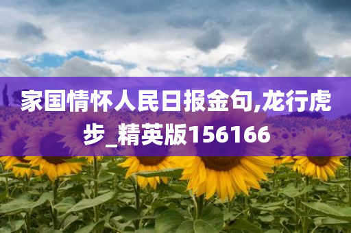 家国情怀人民日报金句,龙行虎步_精英版156166