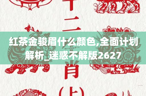 红茶金骏眉什么颜色,全面计划解析_迷惑不解版2627