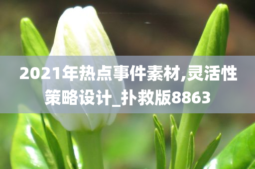 2021年热点事件素材,灵活性策略设计_扑救版8863