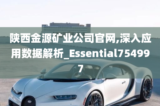 陕西金源矿业公司官网,深入应用数据解析_Essential754997