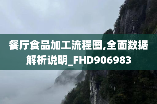 餐厅食品加工流程图,全面数据解析说明_FHD906983