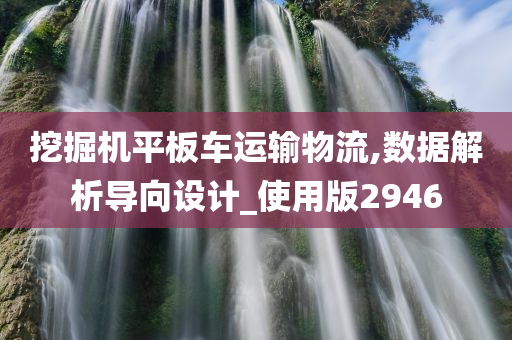 挖掘机平板车运输物流,数据解析导向设计_使用版2946