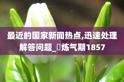 最近的国家新闻热点,迅速处理解答问题_‌炼气期1857