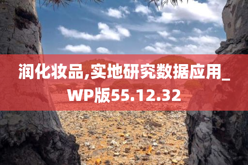 润化妆品,实地研究数据应用_WP版55.12.32