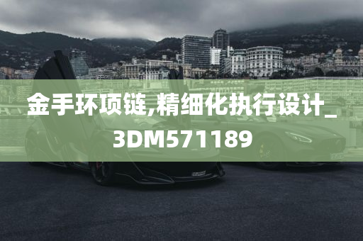 金手环项链,精细化执行设计_3DM571189