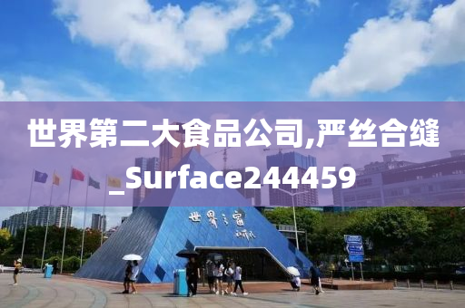 世界第二大食品公司,严丝合缝_Surface244459