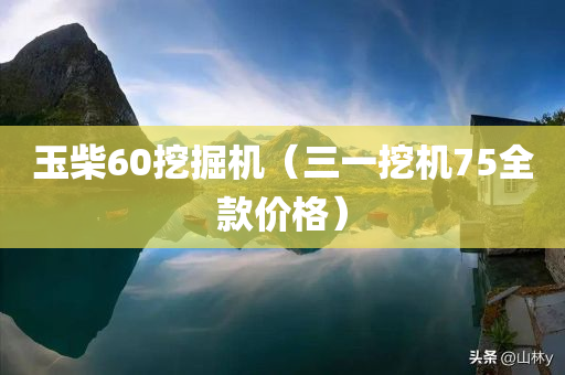 玉柴60挖掘机（三一挖机75全款价格）