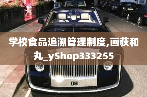 学校食品追溯管理制度,画荻和丸_yShop333255