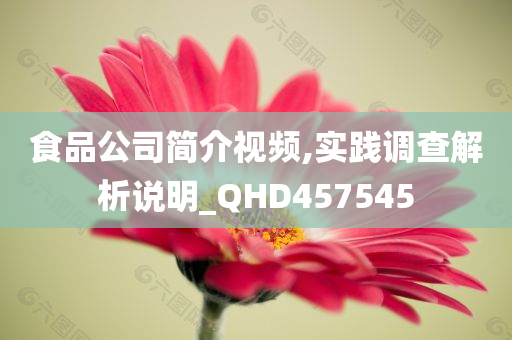 食品公司简介视频,实践调查解析说明_QHD457545