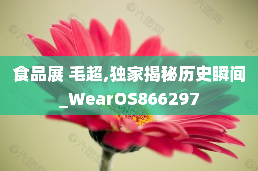 食品展 毛超,独家揭秘历史瞬间_WearOS866297