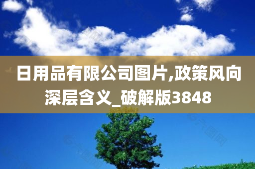 日用品有限公司图片,政策风向深层含义_破解版3848