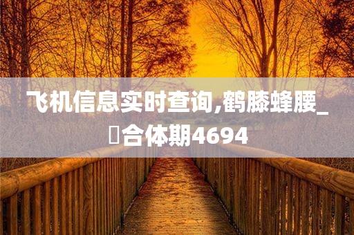 飞机信息实时查询,鹤膝蜂腰_‌合体期4694