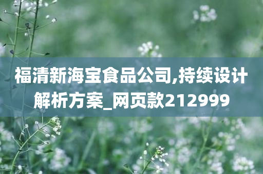 福清新海宝食品公司,持续设计解析方案_网页款212999