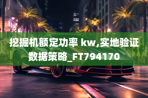 挖掘机额定功率 kw,实地验证数据策略_FT794170