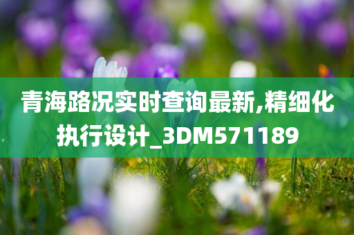 青海路况实时查询最新,精细化执行设计_3DM571189