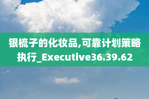 银梳子的化妆品,可靠计划策略执行_Executive36.39.62