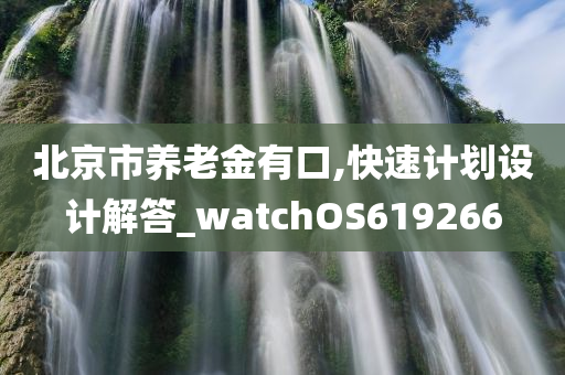 北京市养老金有口,快速计划设计解答_watchOS619266