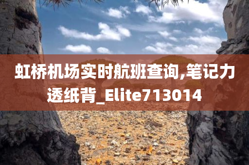 虹桥机场实时航班查询,笔记力透纸背_Elite713014