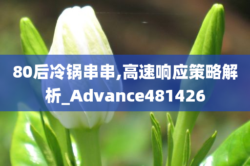 80后冷锅串串,高速响应策略解析_Advance481426