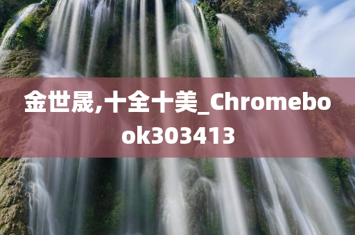 金世晟,十全十美_Chromebook303413