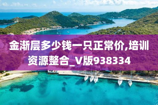 金渐层多少钱一只正常价,培训资源整合_V版938334