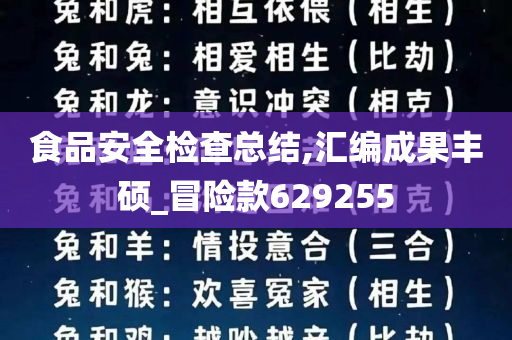 食品安全检查总结,汇编成果丰硕_冒险款629255