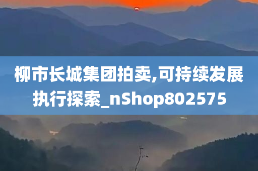 柳市长城集团拍卖,可持续发展执行探索_nShop802575