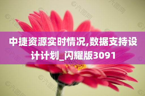 中捷资源实时情况,数据支持设计计划_闪耀版3091