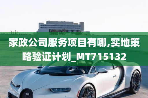 家政公司服务项目有哪,实地策略验证计划_MT715132